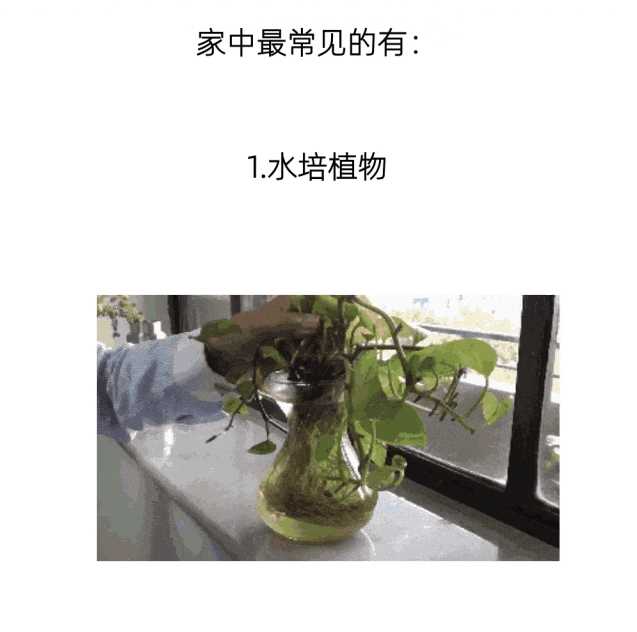 1724375357124229.png 微信截圖_20240823090556.png